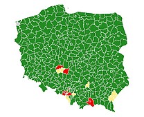 KORONOWIRUS nowosądeckie czerwoną strefą